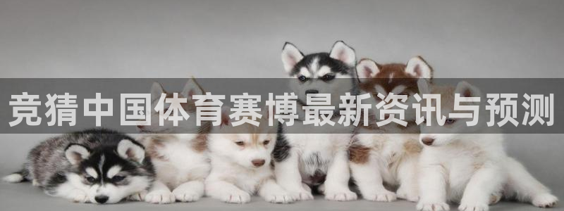 竞猜中国体育赛博最新资讯与预测