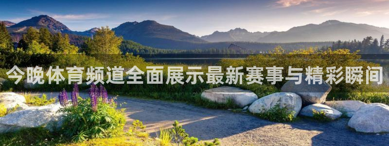 今晚体育频道全面展示最新赛事与精彩瞬间