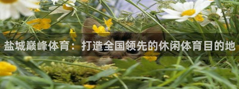 盐城巅峰体育：打造全国领先的休闲体育目的地