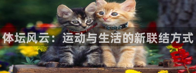 体坛风云：运动与生活的新联结方式
