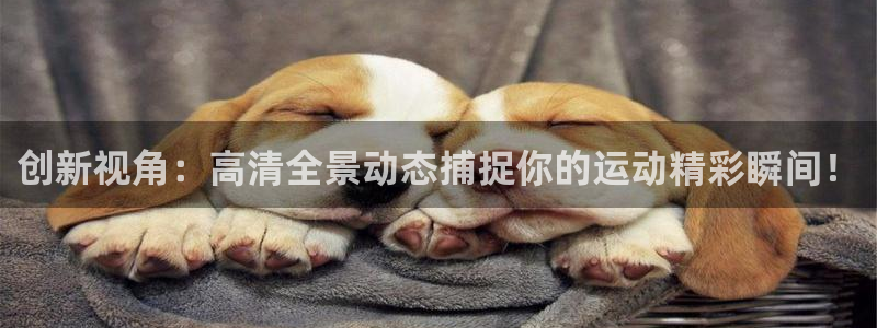 创新视角：高清全景动态捕捉你的运动精彩瞬间！