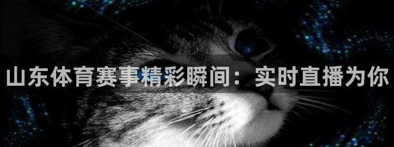 山东体育赛事精彩瞬间：实时直播为你
