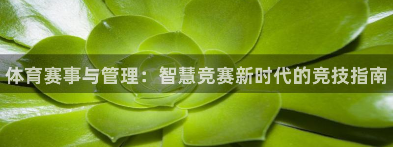 体育赛事与管理：智慧竞赛新时代的竞技指南
