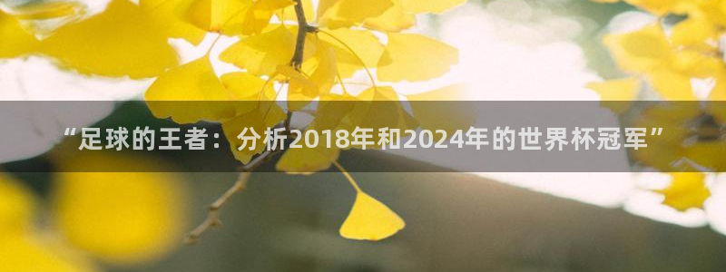 “足球的王者：分析2018年和2024年的世界杯冠军”
