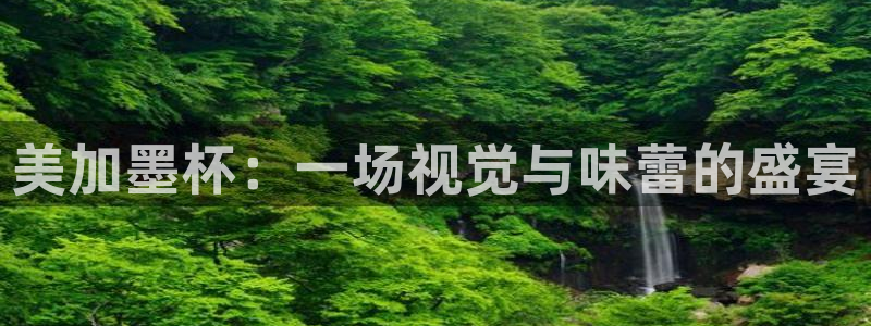 美加墨杯：一场视觉与味蕾的盛宴